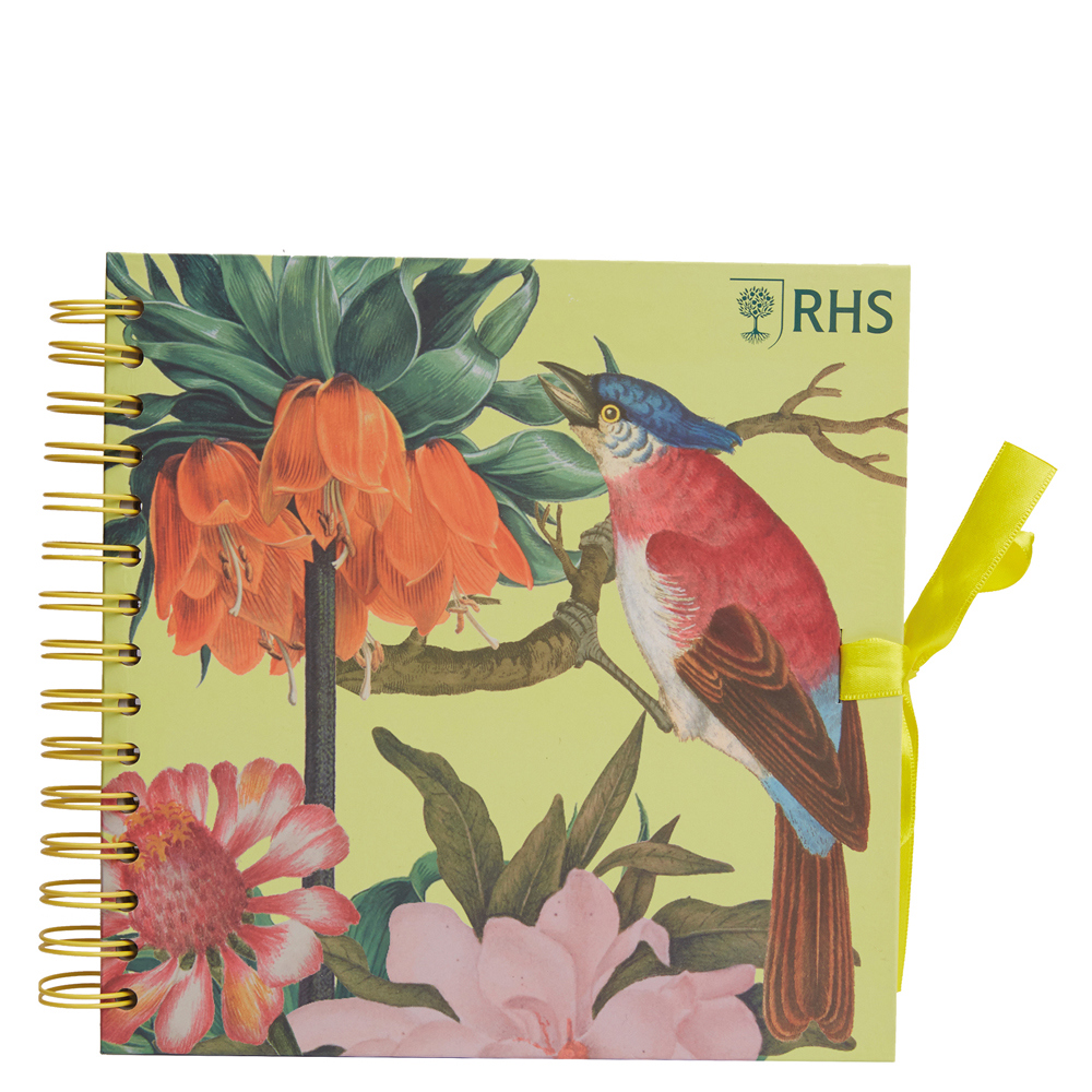 RHS Scrapbook Tropical 8in